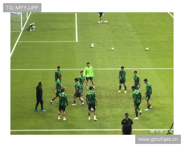 海港国安四外援对决武磊替补登场林良铭客串左边卫成焦点